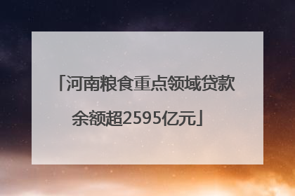 河南粮食重点领域贷款余额超2595亿元