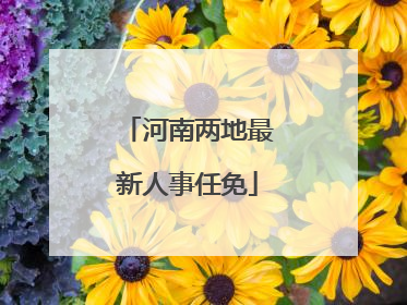 河南两地最新人事任免
