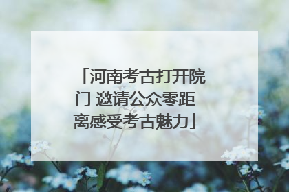 河南考古打开院门 邀请公众零距离感受考古魅力