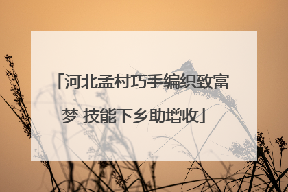 河北孟村巧手编织致富梦 技能下乡助增收