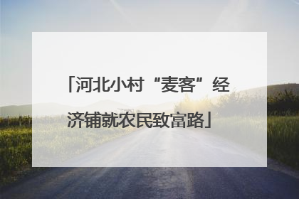 河北小村“麦客”经济铺就农民致富路