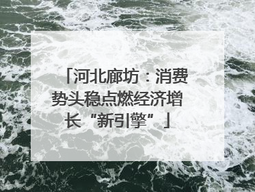 河北廊坊：消费势头稳点燃经济增长“新引擎”