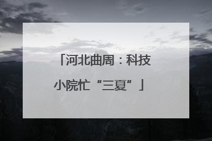 河北曲周：科技小院忙“三夏”