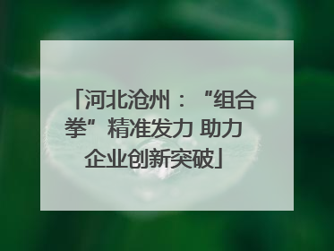 河北沧州：“组合拳”精准发力 助力企业创新突破