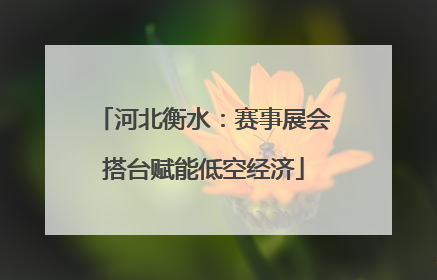 河北衡水：赛事展会搭台赋能低空经济