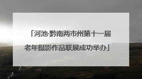 河池·黔南两市州第十一届老年摄影作品联展成功举办