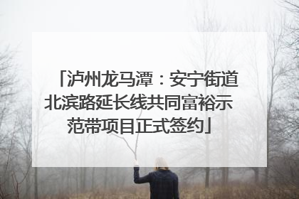 泸州龙马潭：安宁街道北滨路延长线共同富裕示范带项目正式签约