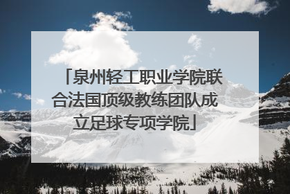 泉州轻工职业学院联合法国顶级教练团队成立足球专项学院
