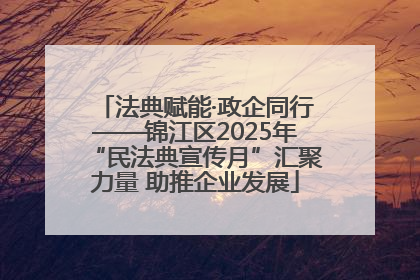 法典赋能·政企同行——锦江区2025年“民法典宣传月”汇聚力量 助推企业发展