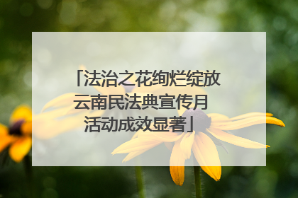 法治之花绚烂绽放 云南民法典宣传月活动成效显著