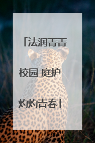 法润菁菁校园 庭护灼灼青春