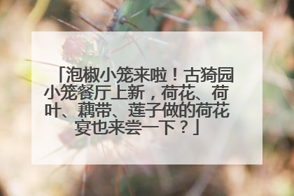 泡椒小笼来啦！古猗园小笼餐厅上新，荷花、荷叶、藕带、莲子做的荷花宴也来尝一下？