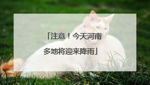 注意！今天河南多地将迎来降雨