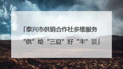 泰兴市供销合作社多维服务 “供”绘“三夏”好“丰”景