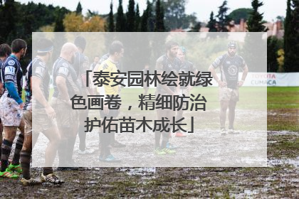 泰安园林绘就绿色画卷，精细防治护佑苗木成长