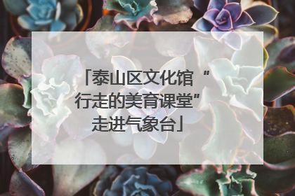 泰山区文化馆“行走的美育课堂”走进气象台