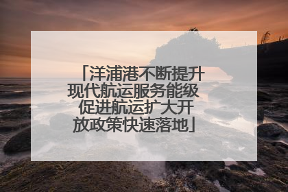 洋浦港不断提升现代航运服务能级 促进航运扩大开放政策快速落地