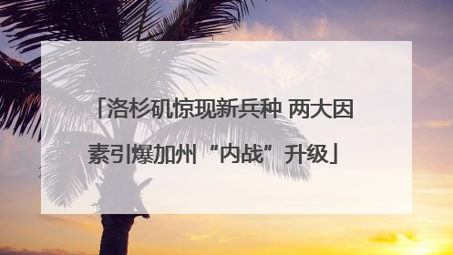 洛杉矶惊现新兵种 两大因素引爆加州“内战”升级