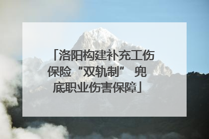 洛阳构建补充工伤保险“双轨制” 兜底职业伤害保障