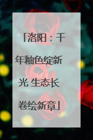 洛阳：千年釉色绽新光 生态长卷绘新章