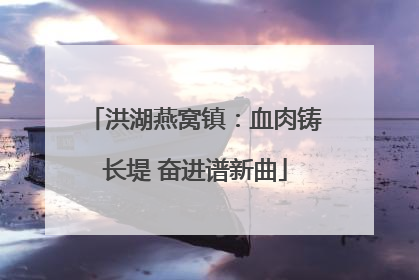 洪湖燕窝镇：血肉铸长堤 奋进谱新曲