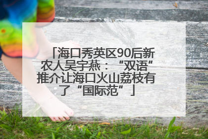 海口秀英区90后新农人吴宇燕：“双语”推介让海口火山荔枝有了“国际范”