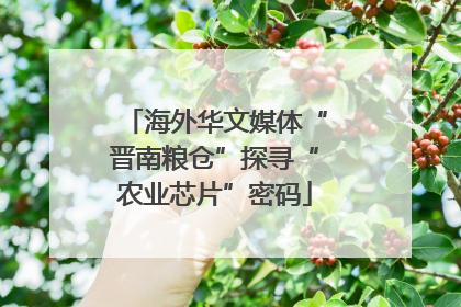海外华文媒体“晋南粮仓”探寻“农业芯片”密码
