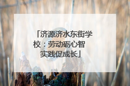 济源济水东街学校：劳动砺心智 实践促成长
