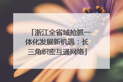 浙江全省域抢抓一体化发展新机遇：长三角织密互通网络