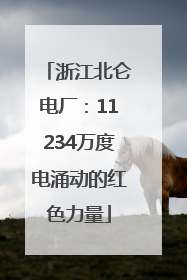 浙江北仑电厂：11234万度电涌动的红色力量