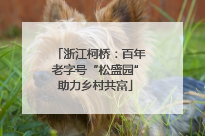 浙江柯桥：百年老字号“松盛园”助力乡村共富