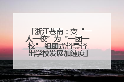 浙江苍南：变“一人一校”为“一团一校” 组团式督导督出学校发展加速度