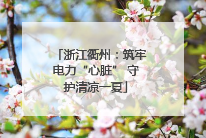 浙江衢州：筑牢电力“心脏” 守护清凉一夏
