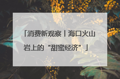 消费新观察丨海口火山岩上的“甜蜜经济”