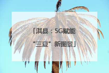 淇县：5G赋能“三夏”新图景