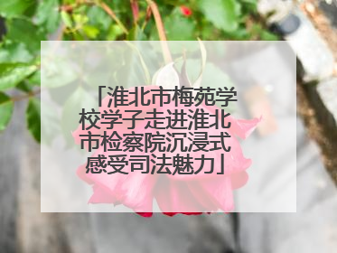 淮北市梅苑学校学子走进淮北市检察院沉浸式感受司法魅力