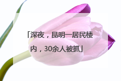 深夜，昆明一居民楼内，30余人被抓