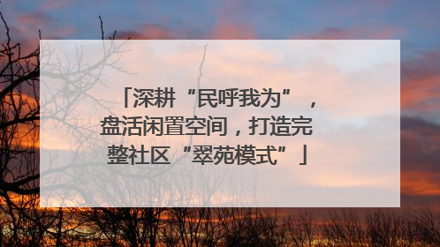 深耕“民呼我为”，盘活闲置空间，打造完整社区“翠苑模式”