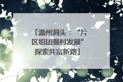 温州洞头：“片区组团强村发展”探索共富新路