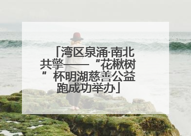 湾区泉涌·南北共擎——“花楸树”杯明湖慈善公益跑成功举办