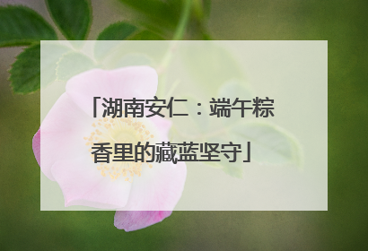 湖南安仁：端午粽香里的藏蓝坚守