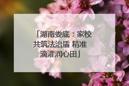 湖南娄底：家校共筑法治盾 精准滴灌润心田