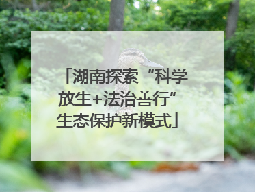 湖南探索“科学放生+法治善行”生态保护新模式