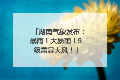湖南气象发布：暴雨！大暴雨！9级雷暴大风！