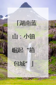 湖南蓝山：小镇崛起“箱包城”