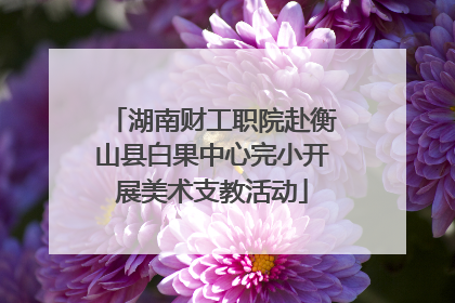 湖南财工职院赴衡山县白果中心完小开展美术支教活动