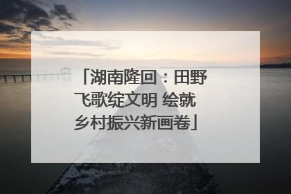 湖南隆回：田野飞歌绽文明 绘就乡村振兴新画卷