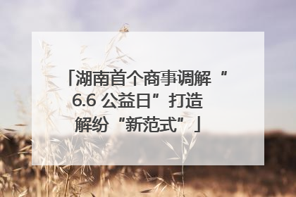 湖南首个商事调解“6.6 公益日”打造解纷“新范式”