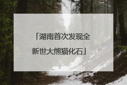 湖南首次发现全新世大熊猫化石