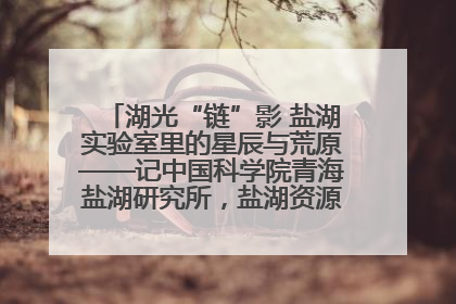 湖光“链”影 盐湖实验室里的星辰与荒原——记中国科学院青海盐湖研究所，盐湖资源化学实验室党总支书记、副主任刘忠